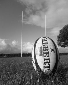 Deporte Colectivo VI Rugby